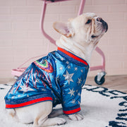 Sliver star Galaxy blue winter dog warmth jacket