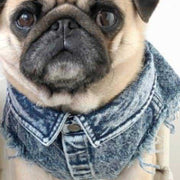 Pet Dog Washed Denim Jacket fashion Clothing