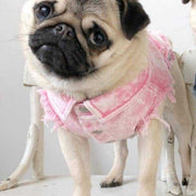 Pet Dog Washed Denim Jacket fashion Clothing