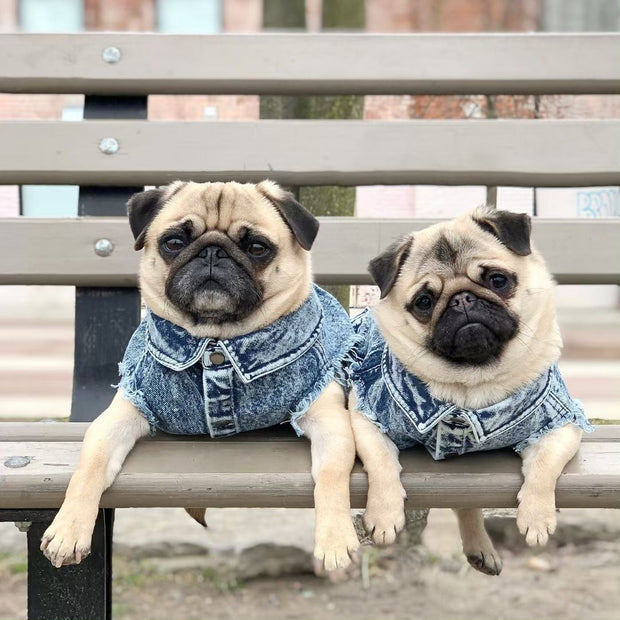 Pet Dog Washed Denim Jacket fashion Clothing