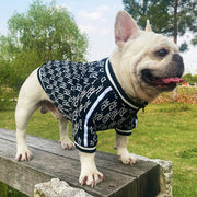 Zip Up Dog Clothing jacket (has that style 😉)